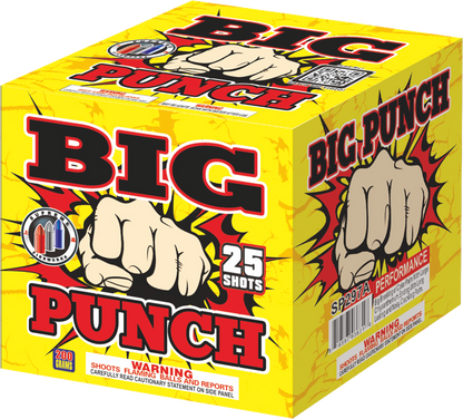 Supreme Combo Pack SP297ABCD 200 gram fireworks cake assortment alternate view