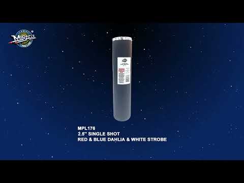 2.5'' SINGLE SHOT-RED & BLUE DAHLIA & WHITE STROBE MPL176 — official Miracle Fireworks YouTube demo
