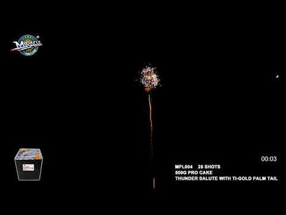 25 SHOTS THUNDER SALUTE WITH TI-GOLD PALM TAIL MPL004 — official Miracle Fireworks YouTube demo