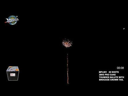 25 SHOTS THUNDER SALUTE WITH BROCADE CROWN TAIL MPL001 — official Miracle Fireworks YouTube demo