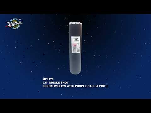2.5'' SINGLE SHOT-NISHIKI WILLOW WITH PURPLE DAHLIA PISTIL MPL178 — official Miracle Fireworks YouTube demo