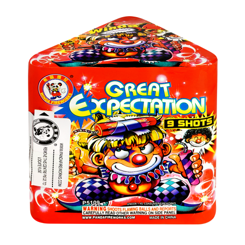 Great Expectations Winda wholesale 200 gram multi-shot fireworks cake